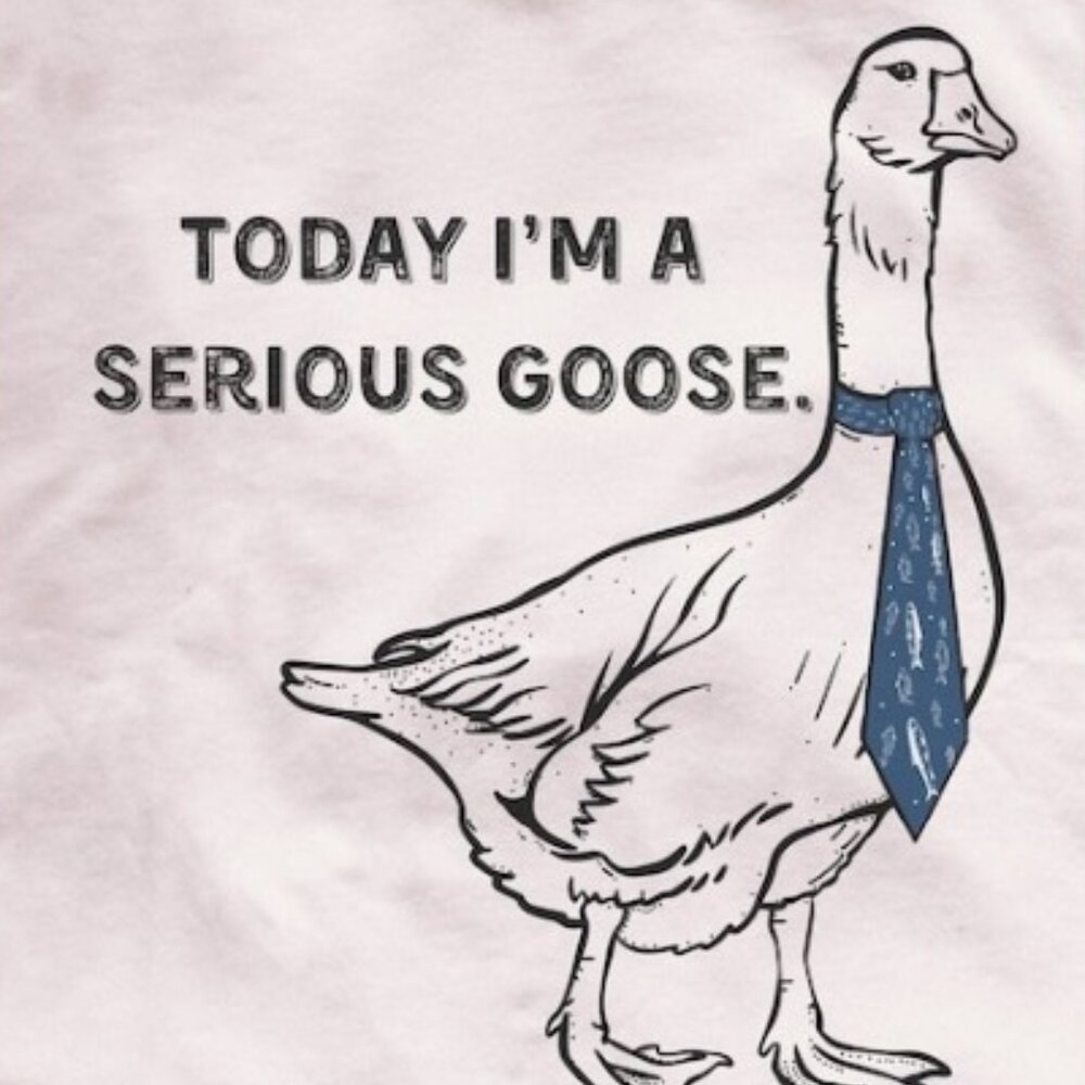 Today I'm a Serious Goose TShirt, What's up Brother Shirt - Picture 2 of 4